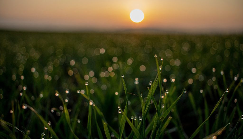 francesco-dondi-r6_ugAOBFa4-unsplash
