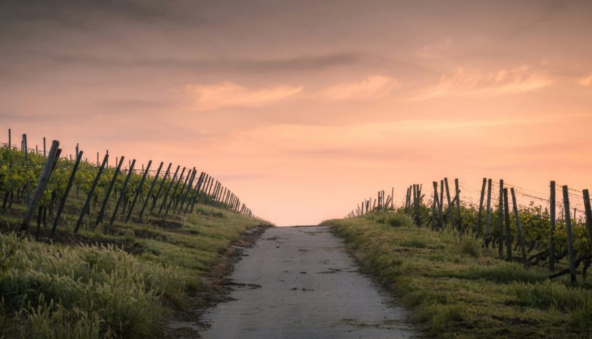 karsten-wurth-HiE1bIIoRqQ-unsplash