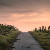 karsten-wurth-HiE1bIIoRqQ-unsplash karsten-wurth-HiE1bIIoRqQ-unsplash
