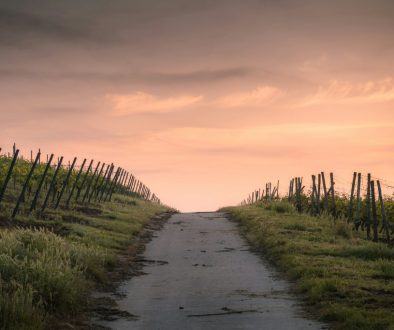 karsten-wurth-HiE1bIIoRqQ-unsplash