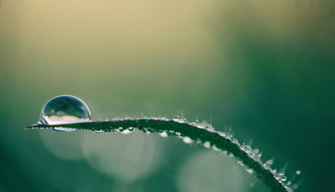 aaron-burden-Kp9z6zcUfGw-unsplash