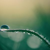 aaron-burden-Kp9z6zcUfGw-unsplash aaron-burden-Kp9z6zcUfGw-unsplash