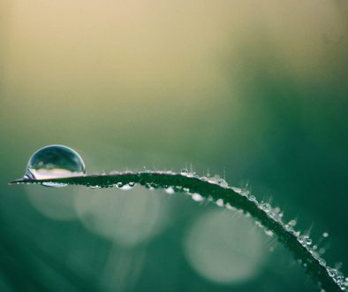 aaron-burden-Kp9z6zcUfGw-unsplash