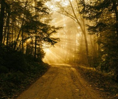 patrick-fore-74TufExdP3Y-unsplash